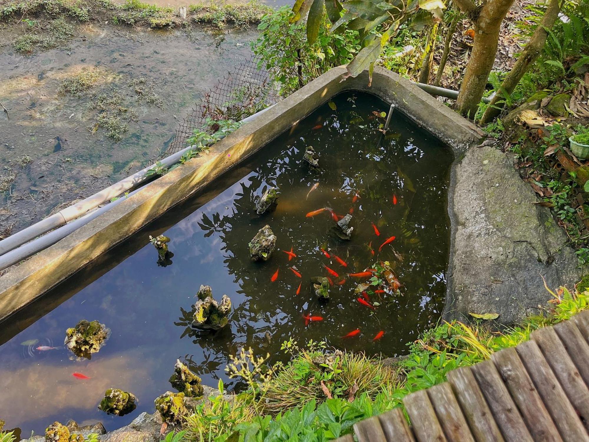 Ya'S House Apartment Sa Pa Luaran gambar